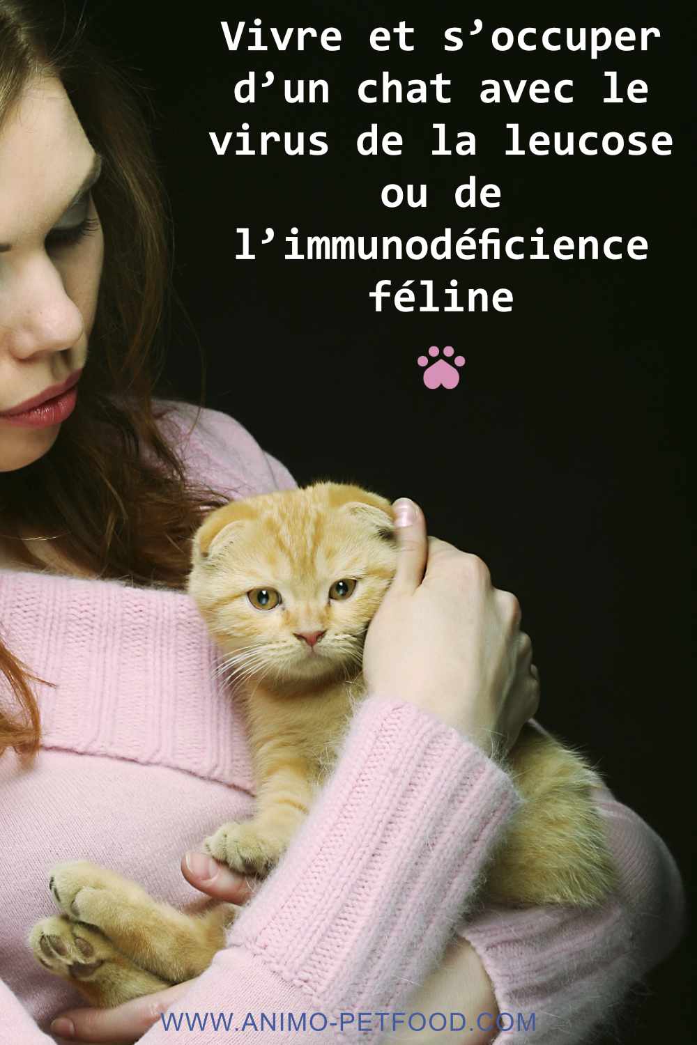 CHAT- FIV CHAT-FELV CHAT-MALADIE CHAT-sida chat-virus-leucose féline-immunodéficience féline-pronostic FeLV-pronostic FIV-traitement FeLV